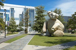 The UC San Diego bear statue on campus